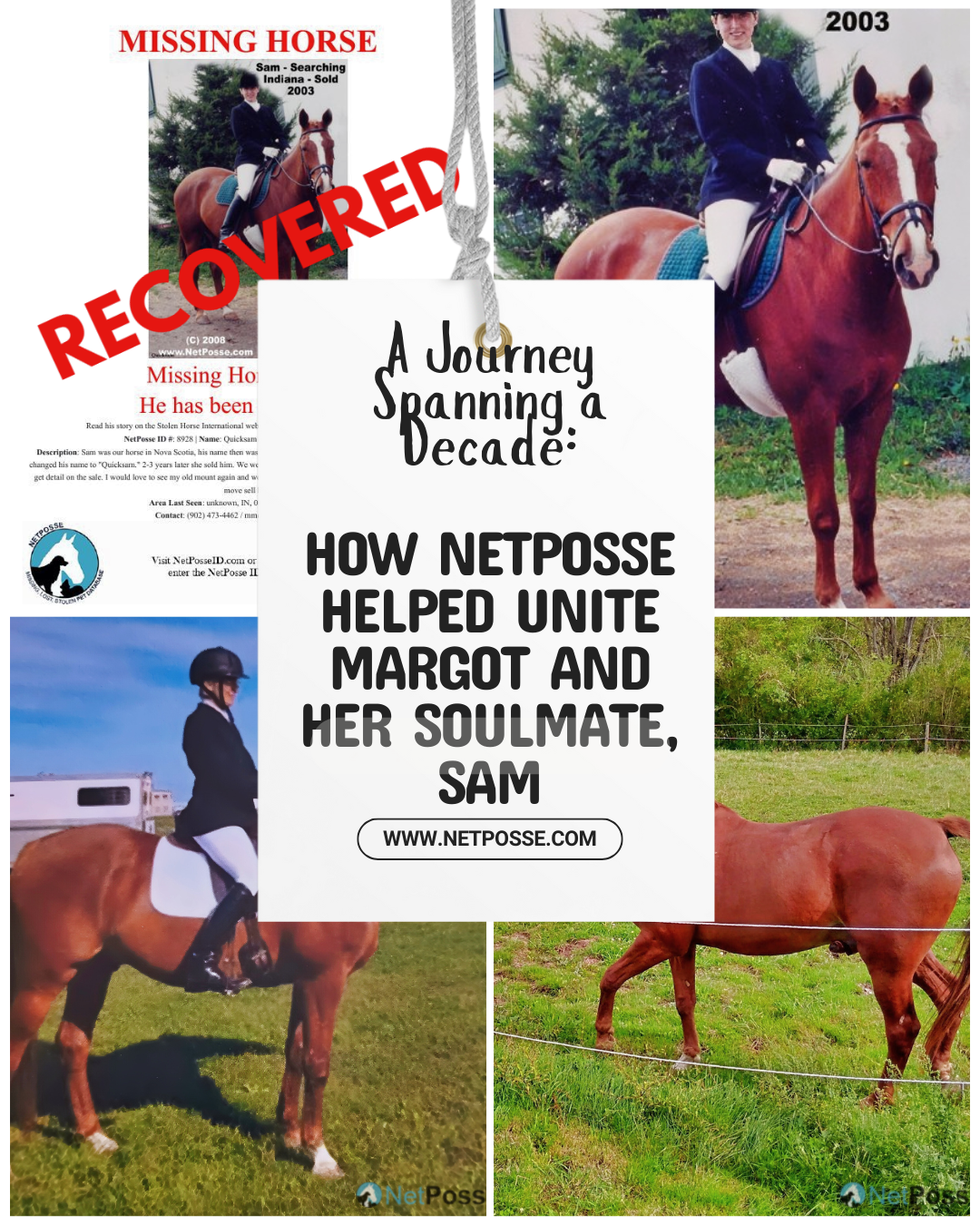 store/pages/2385/article  A Journey Spanning a Decade How NetPosse United Margot Christie and Her Soulmate Sam.png